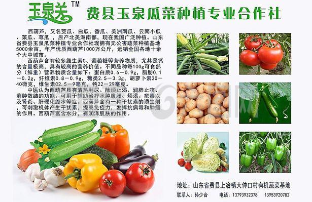 新鮮直達,品質承諾——綠色蔬菜產品宣傳與農副產品收購服務